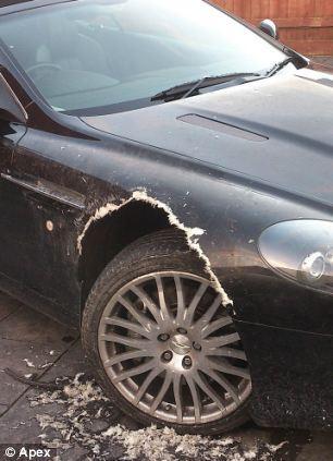 dog-aston-martin