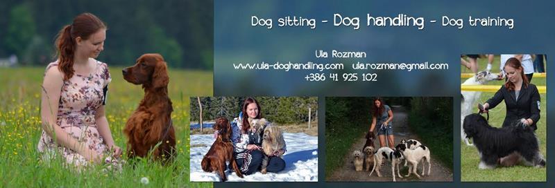 Ula Rozman Dog handling