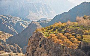 winter15_3476459a-large